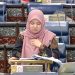Bumi Gets the Quota, Non-Bumi Gets the Bill?